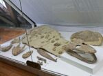 web_Museum 2