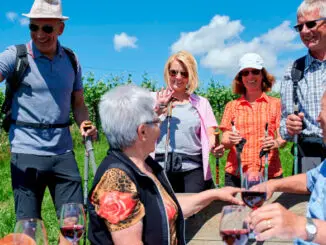 Zaber; Güglingen; Wein; Menschen;