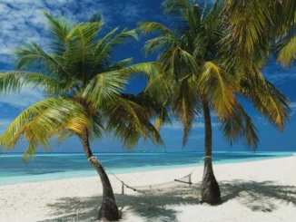 Unbezahlter Urlaub