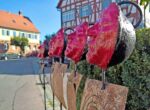 Kopie von web_WP_20160823_17_51_08_Rich